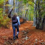 image of women hiking in the woods